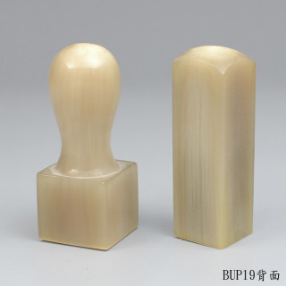 赤牛角公司大小章