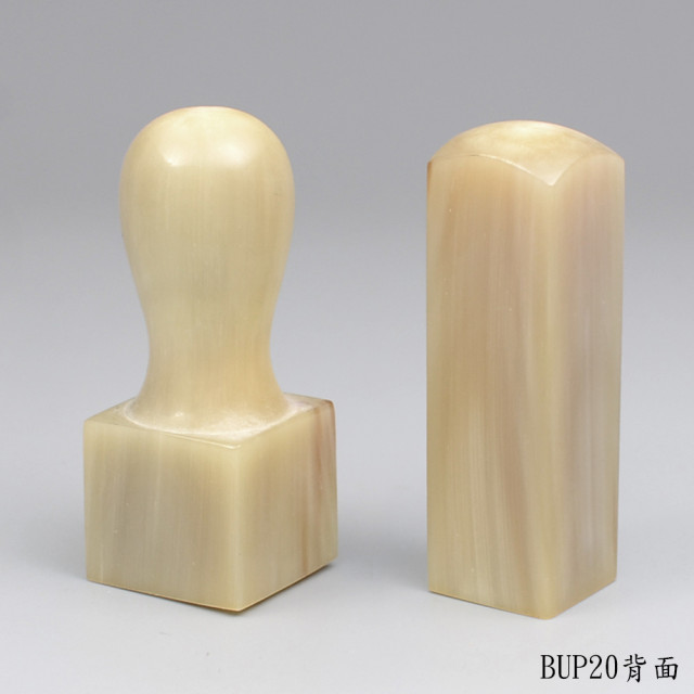 赤牛角公司大小章