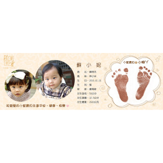 胎毛筆典藏足印