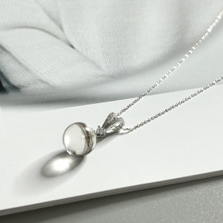 臍帶/胎毛項鍊紀念品