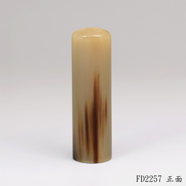 赤牛角圓章